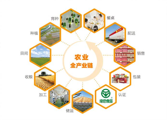 如何在农业产业化发展中实现全产业链融合?