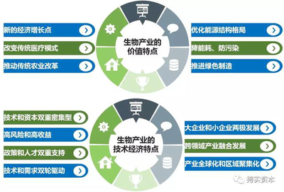产业化发展的路径与前景研究