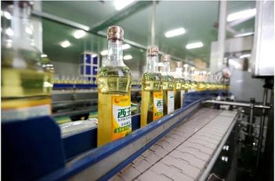 西王食品获评国家绿色工厂 产业化发展与绿色转型的典范