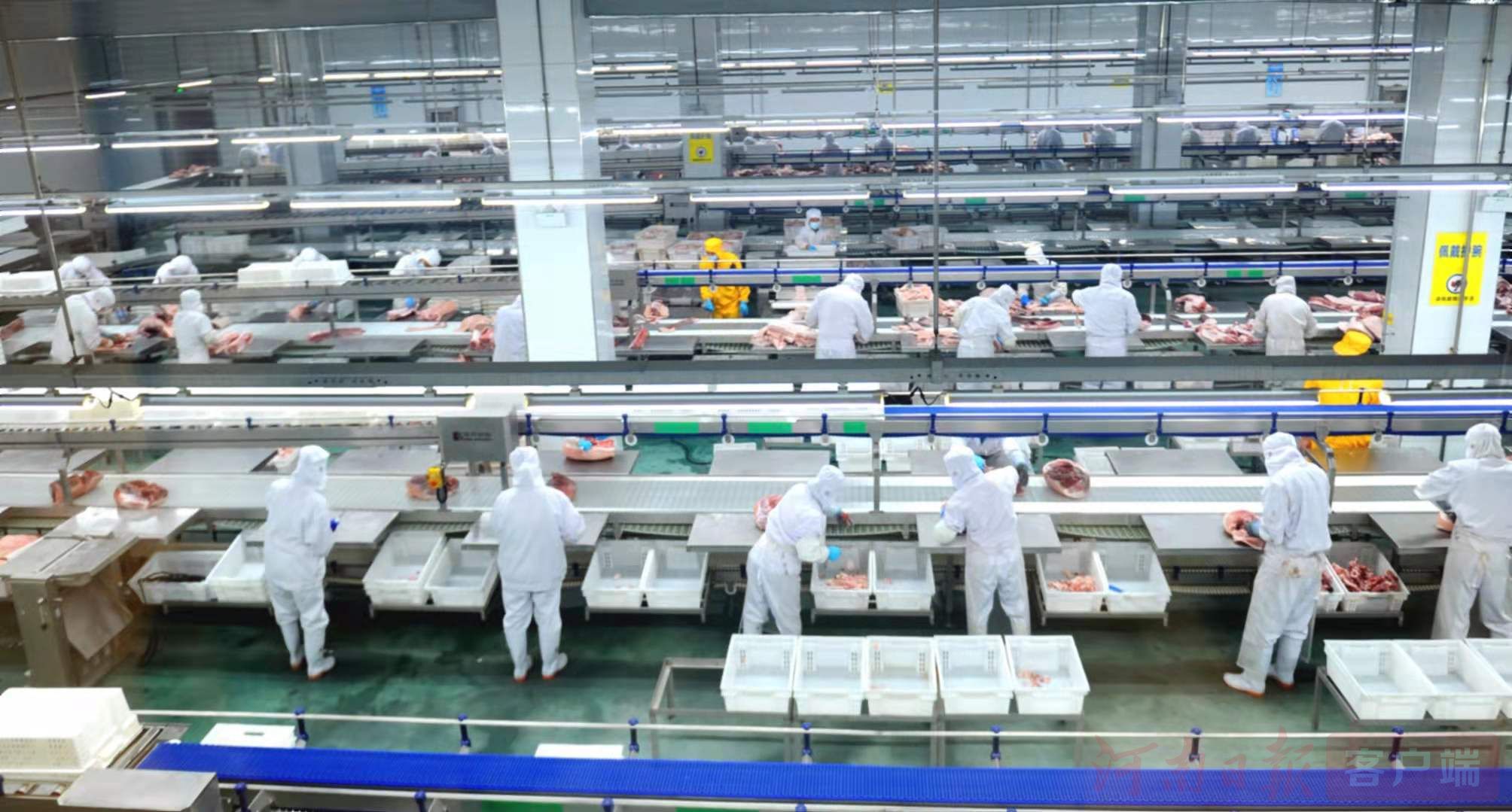 驻马店 农业加工'高精尖'挑起发展'金扁担'产业化发展