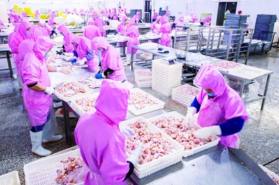 以龙头企业为引擎 推动现代农业产业化高质量发展