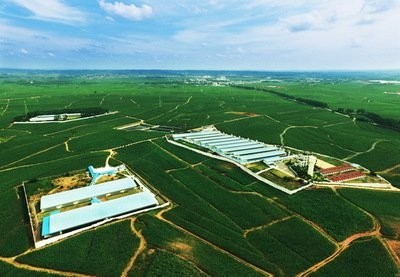 广西农垦集团 职责、待遇与产业化发展探析