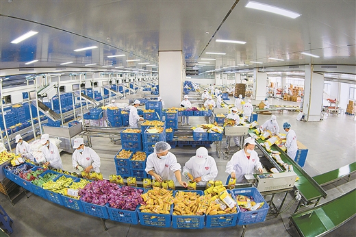 广西 壮大“工业树” 繁茂“产业林” 推动产业化新跨越