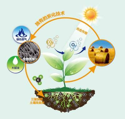 科技赋能，产业升级 三聚环保引领农业现代化之路